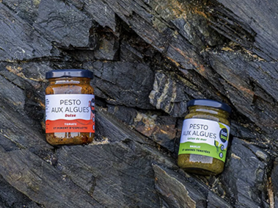 Pesto- Meersalat - Basilikum und Sonnenblumenkerne - Bretagne Allerlei
